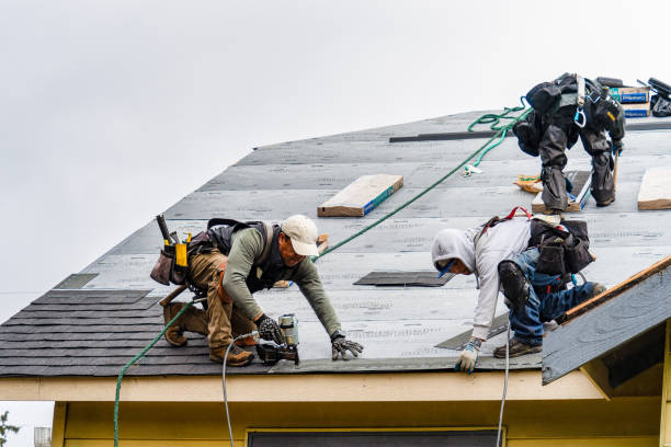 Professional Roof Replacement technician working in Angels Camp, CA